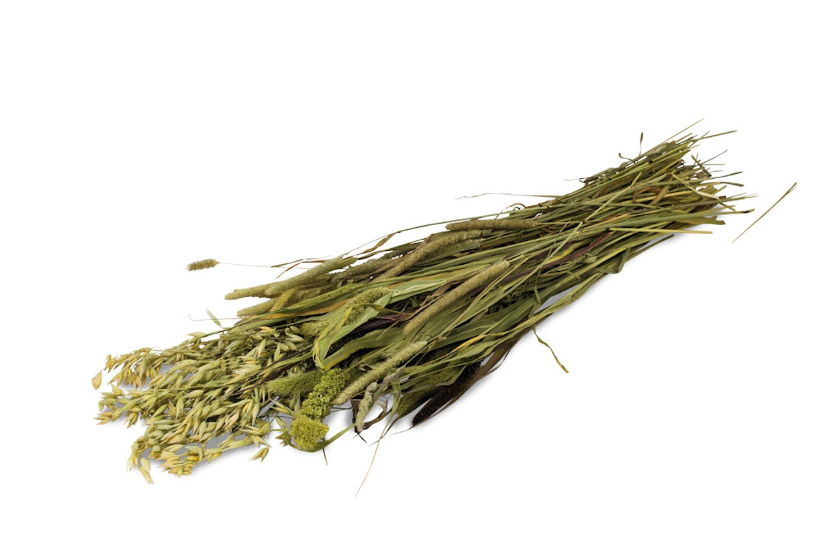 Bild von JR FARM Ein Stück Natur Wiesen-Ernte 80g Kleintierfutter