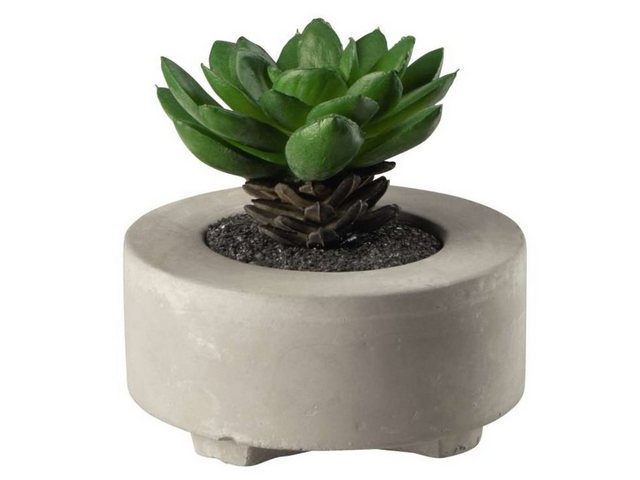 Bild von Kunstpflanze Sukkulente V im grauen Betontopf grün 8,5 cm, ASA SELECTION