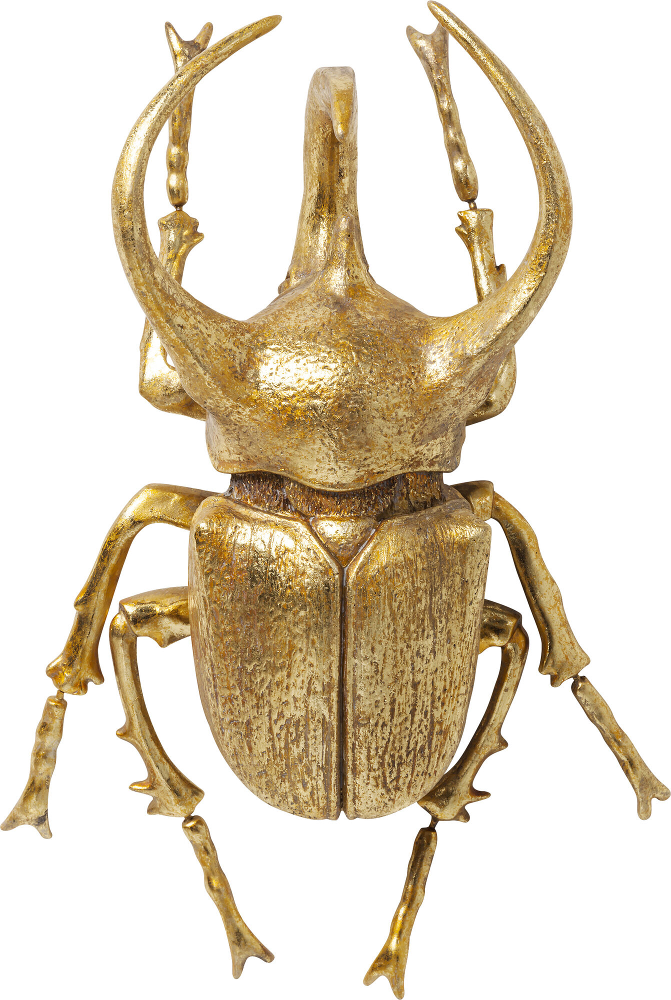 Bild von Wandschmuck Atlas Beetle Gold