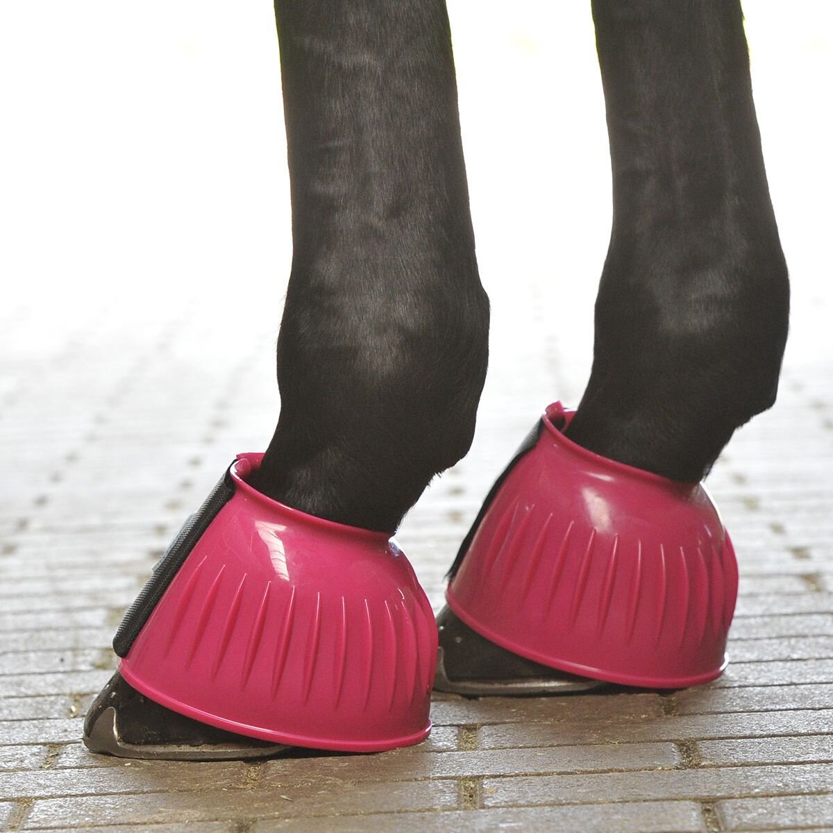 Bild von Busse Hufglocken STURDY, fuchsia S