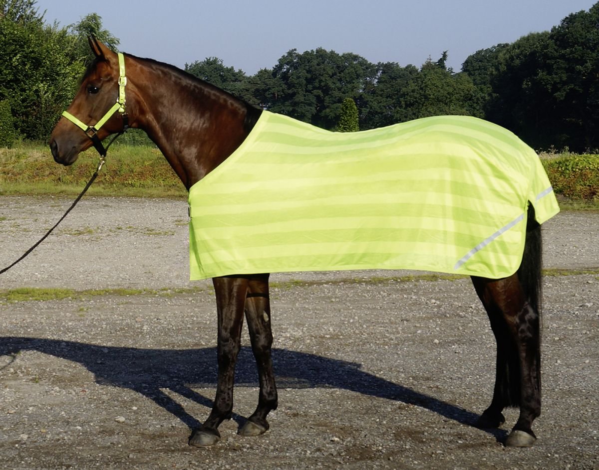 Bild von Busse Pferdedecke Reflection, gelb 135cm