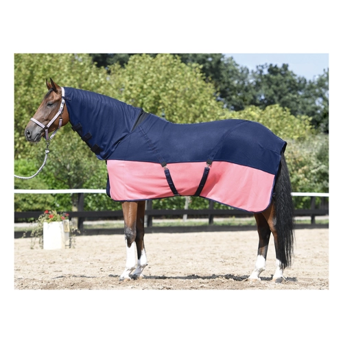 Bild von Busse Abschwitzdecke COMFORT PLUS – der perfekte Begleiter fürs Pferd