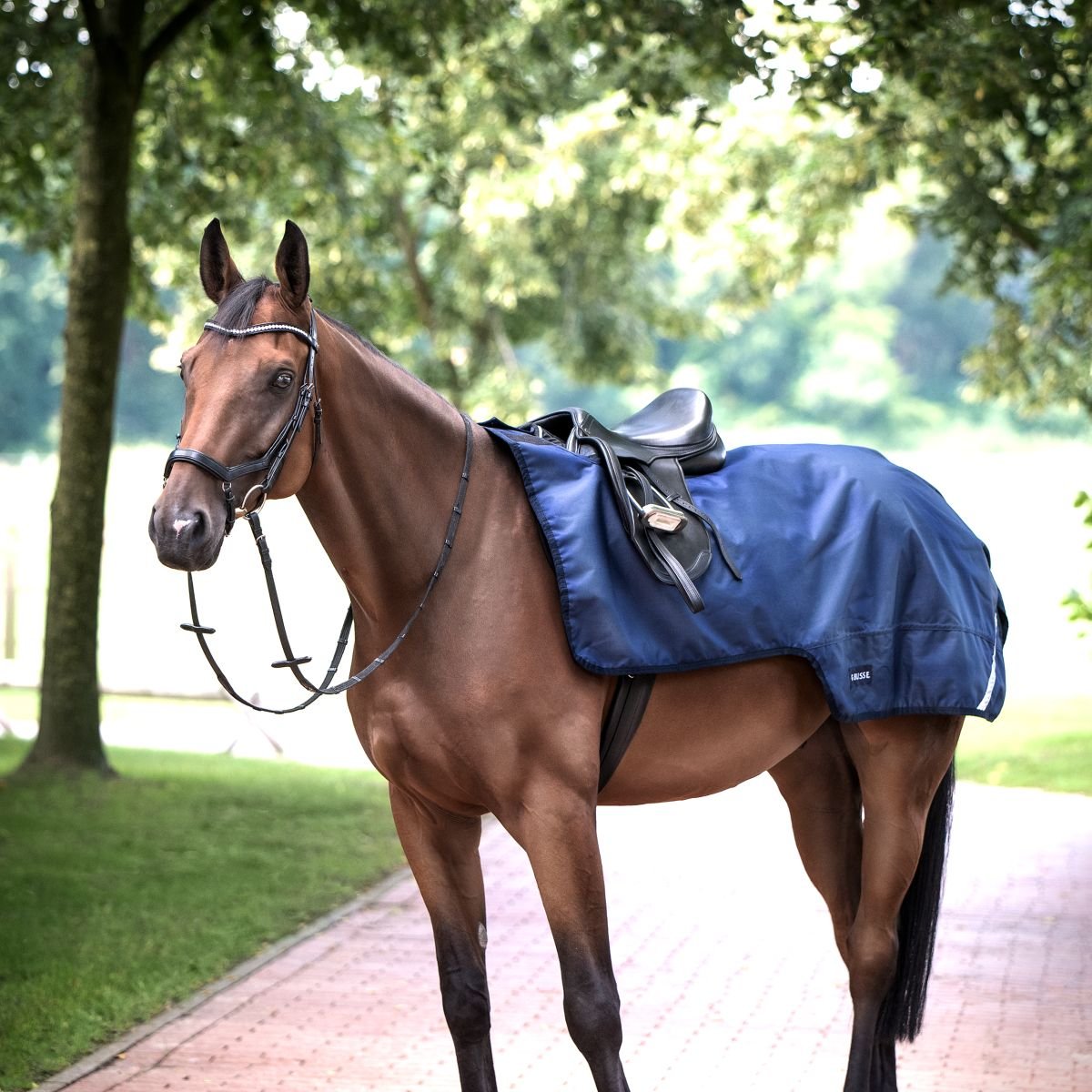 Bild von Busse Ausreitdecke Raintrainer 100 125cm navy (603198-183-134)