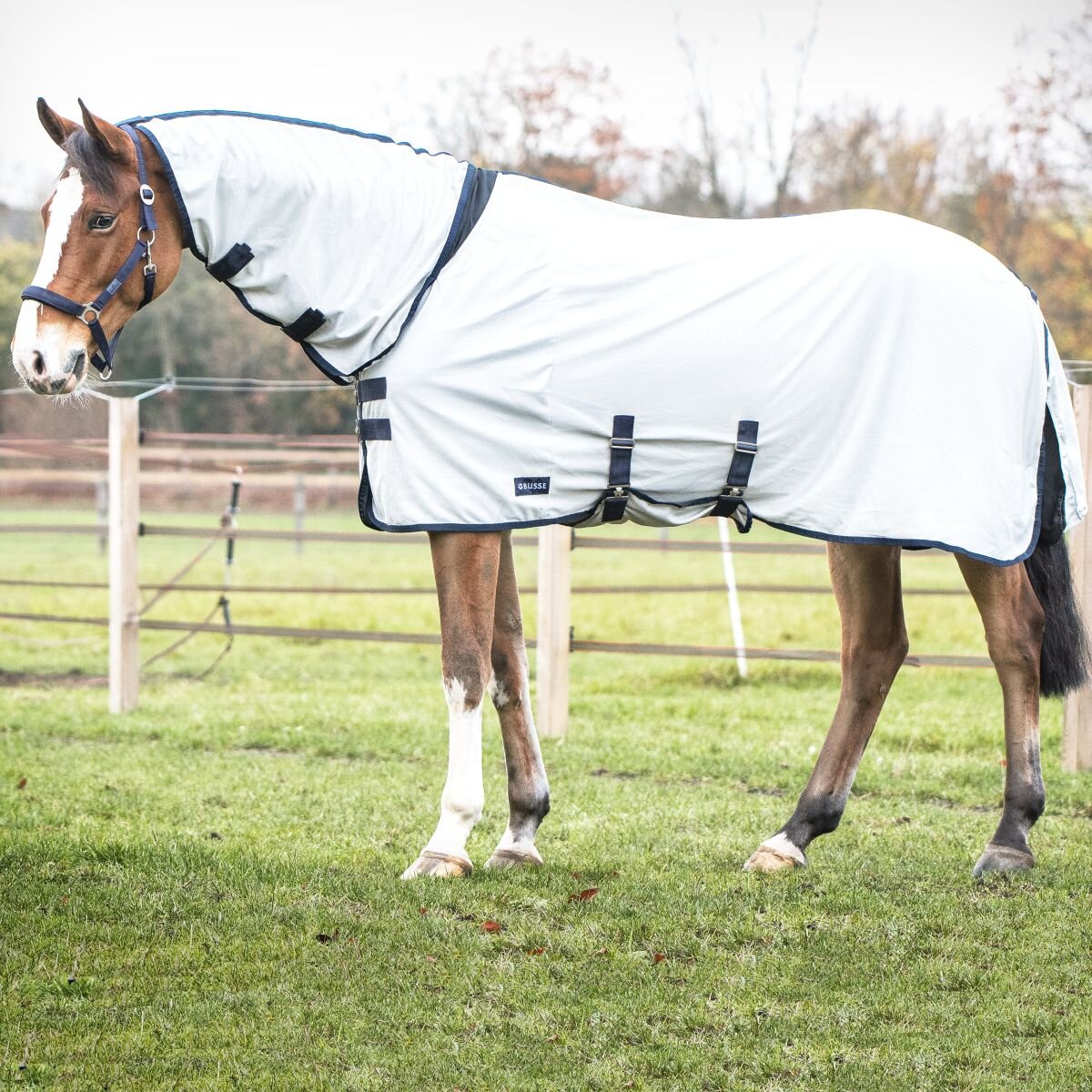 Bild von Busse Outdoor-Fliegendecke COMFORT PRO silber (navy) 125_plus cm