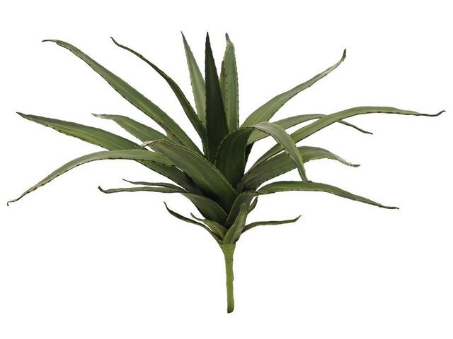 Bild von Kunstpflanze EUROPALMS Aloe (EVA), künstlich, grün, 50cm, EUROPALMS, Höhe 8 cm