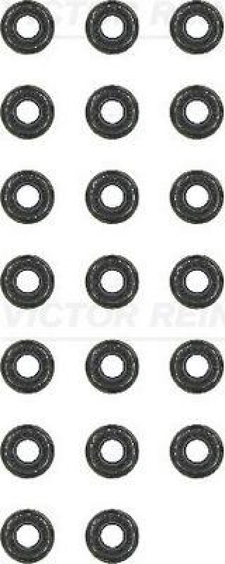 Bild von REINZ 12-31306-03 Dichtungssatz, Ventilschaft VOLKSWAGEN: Polo IV Hatchback, Passat B5 Saloon, Passat B5 GP Estate, SEAT: Ibiza 3, AUDI: A6 C4 Avant