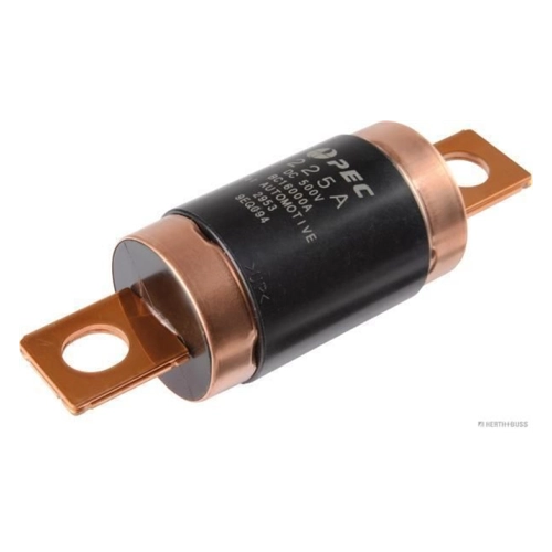 Bild von Herth+Buss Elparts Sicherung 50295394 – Zuverlässiger Schutz für Elektromotoren