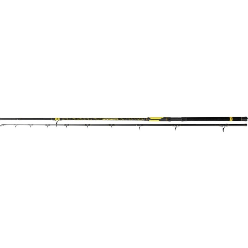 Bild von Black Cat Spinnrute Perfect Passion 3m 600g XH-S - Wallerrute