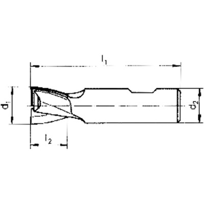 Bild von Magni, Fräser, Gühring 9055300020000 SL-Schaftfräser, DIN 6527, 2 mm, Z2 aus VHM