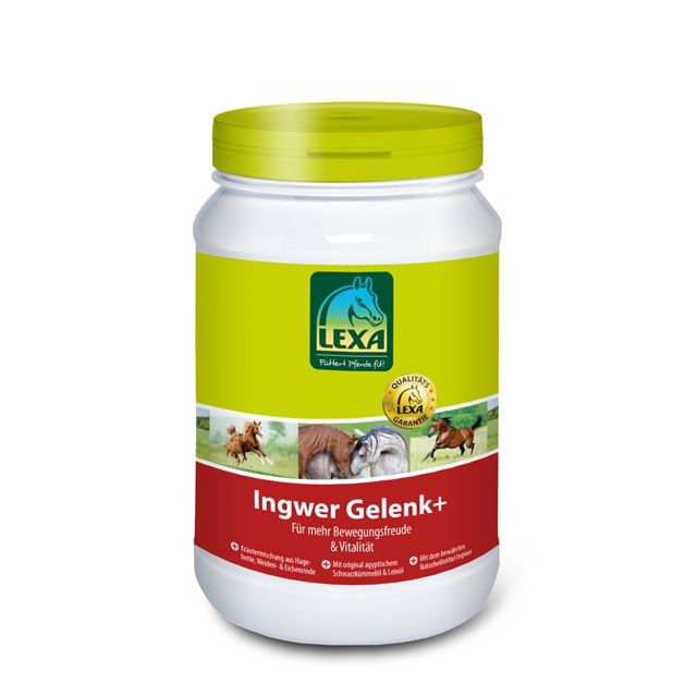 Bild von LEXA Pferdefutter Ingwer Gelenk+