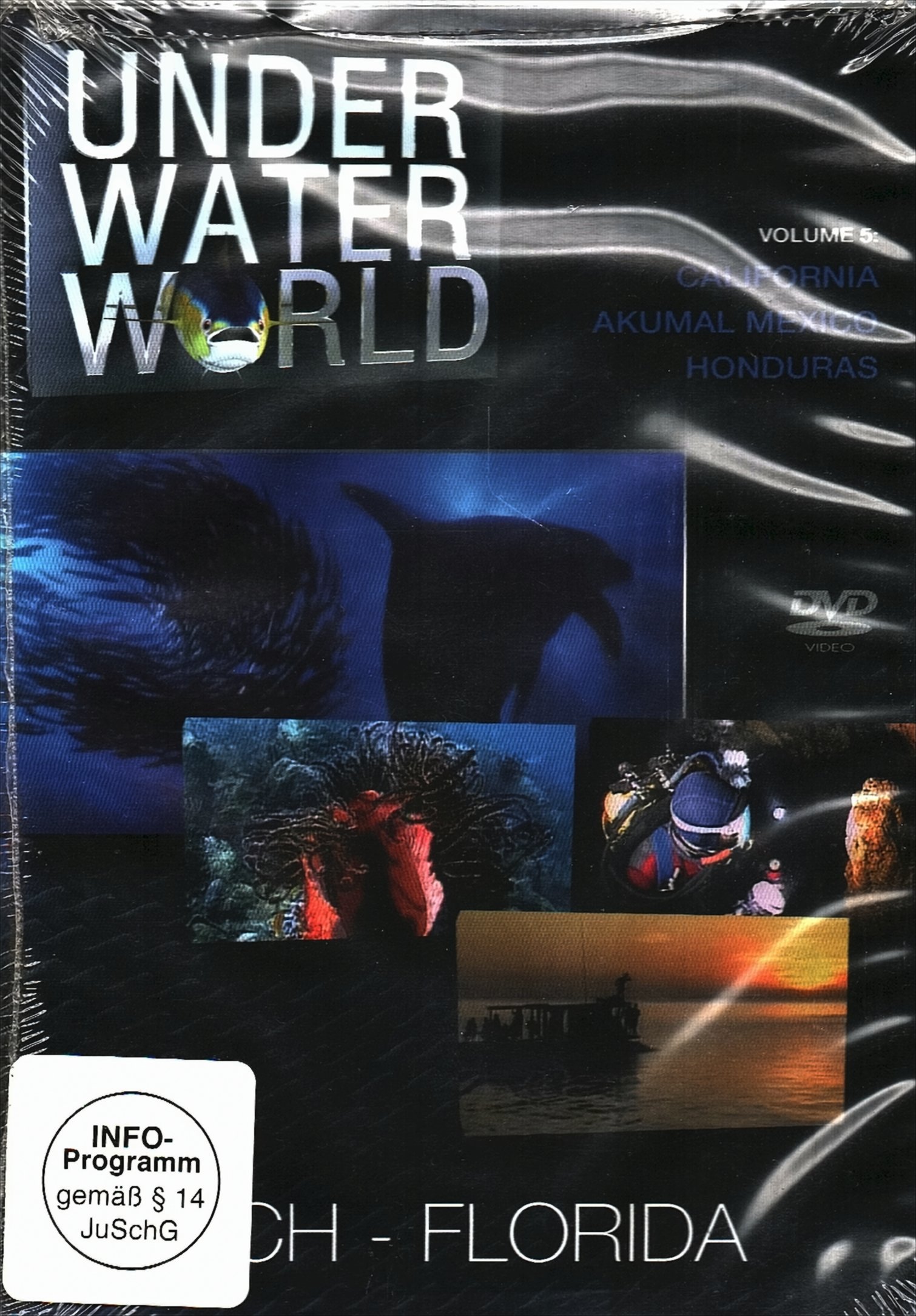 Bild von Under Water World Vol. 5 - Palm Beach Florida