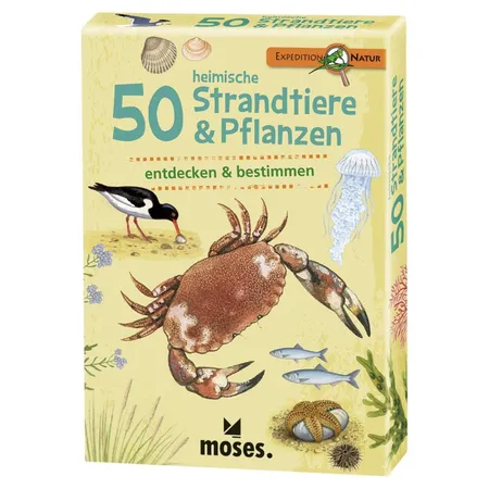Bild von moses. Expedition Natur - 50 heimische Strandtiere und Pflanzen| Bestimmungskarten im Set | Mit spannenden Quizfragen, Yellow