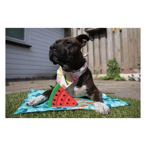 Bild von Nobby Hundematte Nobby Kühlmatte