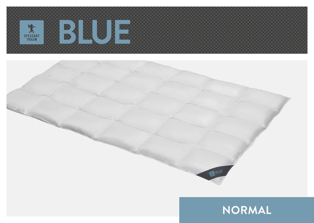 Bild von Spessarttraum Bettdecke Blue, 240x220cm, Daunenbettdecke, Ganzjahresdecke normaler Wärmebedarf, 60% Daunen / 40% Federn, Made in Germany, Oekotex, Nomite, Allergiker geeignet