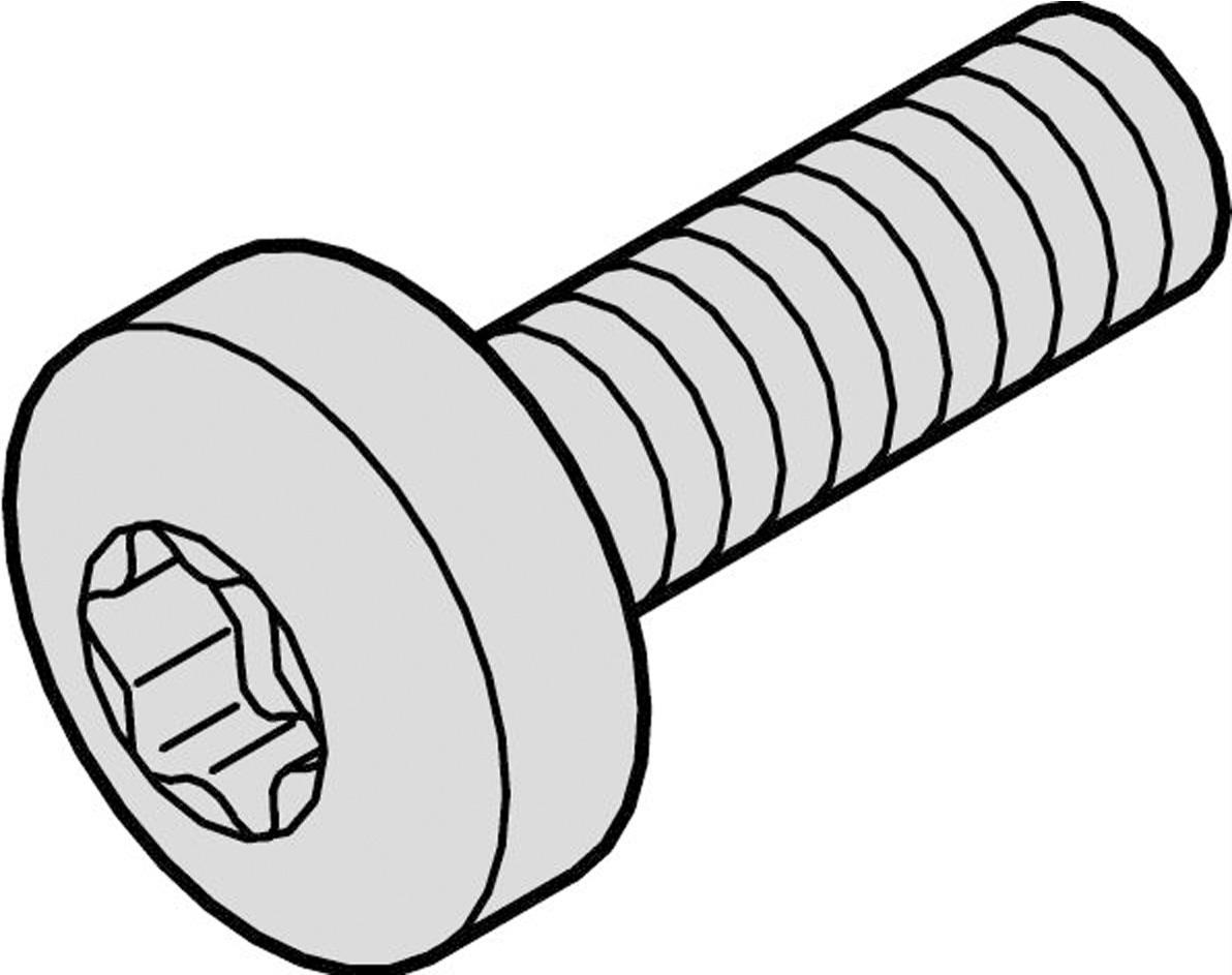 Bild von Schroff Torx Linsenkopfschraube - NTS MS LINSHR M4X14 100STK, Serverschrank Zubehör