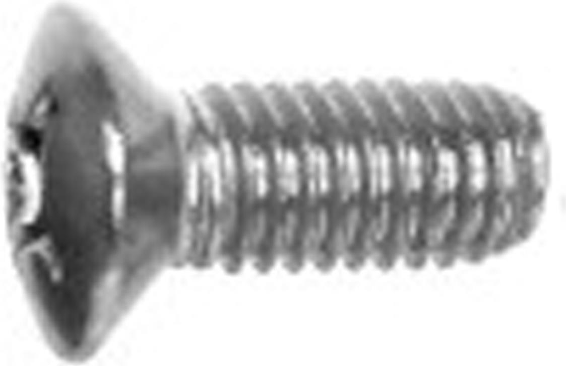 Bild von SCHROFF Linsensenkkopfschraube mit Kreuzschlitz - NTS SENKSCHR.LIN. M3X8 100ST (21100542)