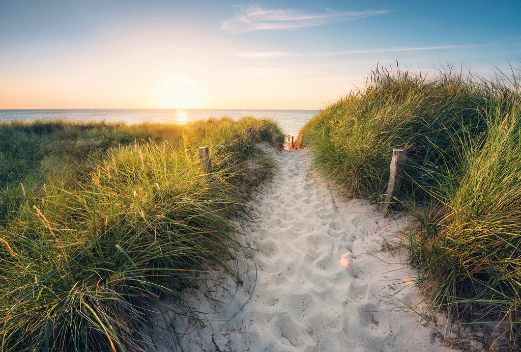 Bild von Komar Fototapete Vlies - Way to the Beach - Größe 368 x 248 cm, glatt, bedruckt, (Packung, 1 St., Vlies Fototapete), Wohnzimmer, Schlafzimmer