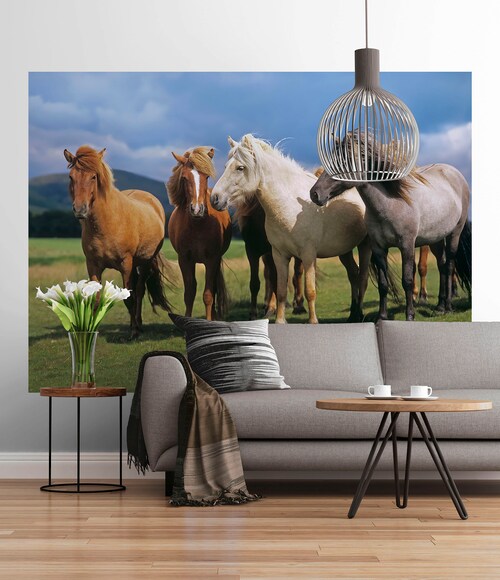 Bild von Komar Fototapete Ponies - Größe 254 x 184 cm, glatt, bedruckt, (Packung, 1 St), Wohnzimmer, Schlafzimmer