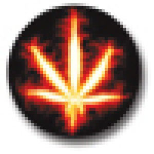 Bild von 316L Chirurgenstahl Box Plug mit Motiv, 10mm,BURNING GANJA