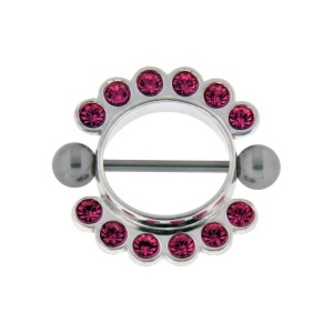 Bild von Brustwarzen Piercing schild mit 12 rose Kristallen, 10mm
