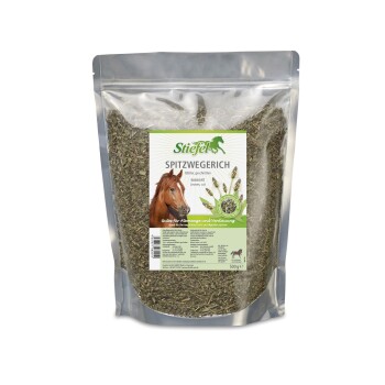 Bild von Stiefel Spitzwegerich 500g Tüte