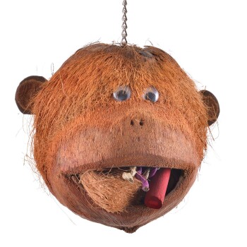 Bild von Java Papageienspielzeug Coco Monkey