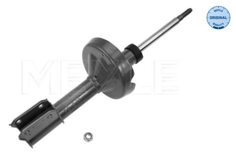 Bild von MEYLE Stoßdämpfer Vorderachse 16-26 623 0010 Federbein,Stossdämpfer RENAULT,CLIO II (BB0/1/2_, CB0/1/2_),TWINGO II (CN0_),CLIO II Kasten (SB0/1/2_)