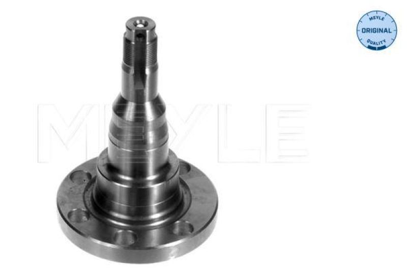 Bild von MEYLE Radnabe ORIGINAL Quality 100 501 1010  VW,AUDI,SEAT,GOLF I Cabriolet (155),GOLF II (19E, 1G1),GOLF III (1H1),Golf III Cabrio (1E7),GOLF I (17)