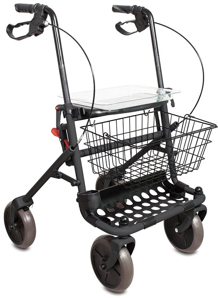 Bild von Rehaforum Actimo Basic Rollator Standard rot