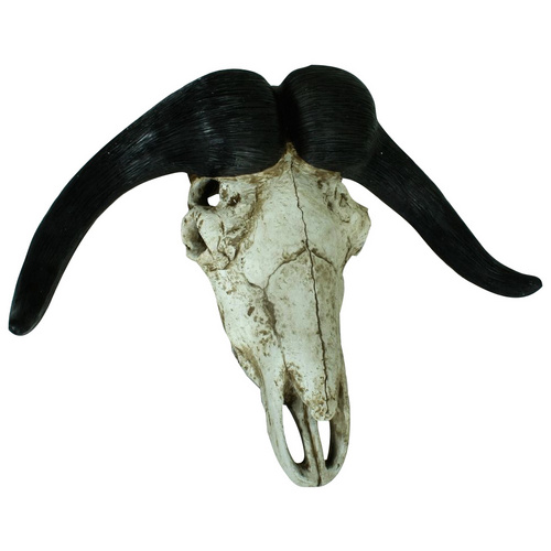 Bild von Harms Import Dekogeweih aus Polyresin in natur. Abmessungen (LxBxH) 21x66x49 cm