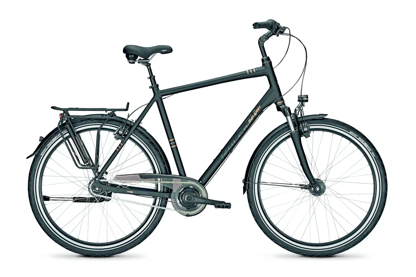 Bild von Raleigh CHESTER 8 XXL Diamant diamondblack matt 55 cm (28") 2022