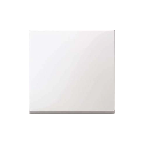 Bild von MERTEN System M, 432119, polarweiß glänzend, Wippe