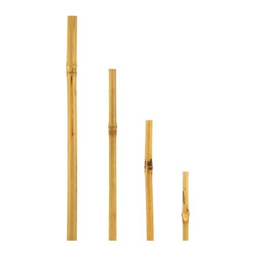 Bild von bellissa – Bambusstäbe - Diverse Sets