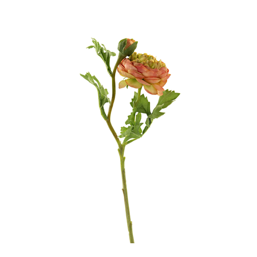 Bild von Fink Kunstblume Ranunkel coralle – Ein elegantes Dekorationselement