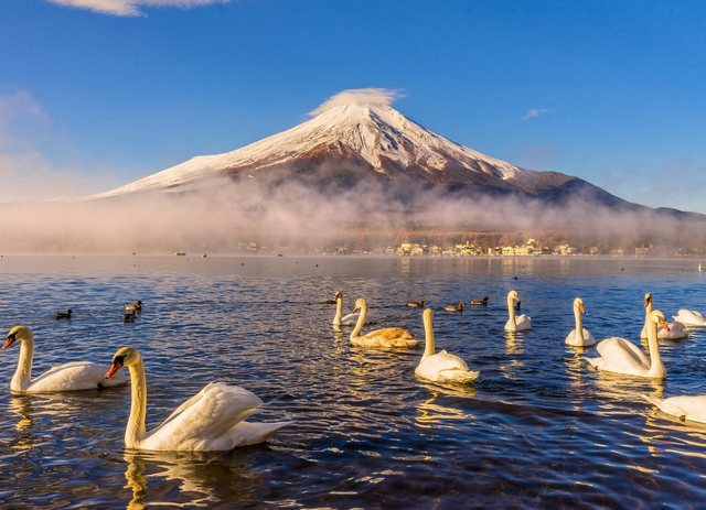Bild von Papermoon Fototapete Mount Fuji, glatt