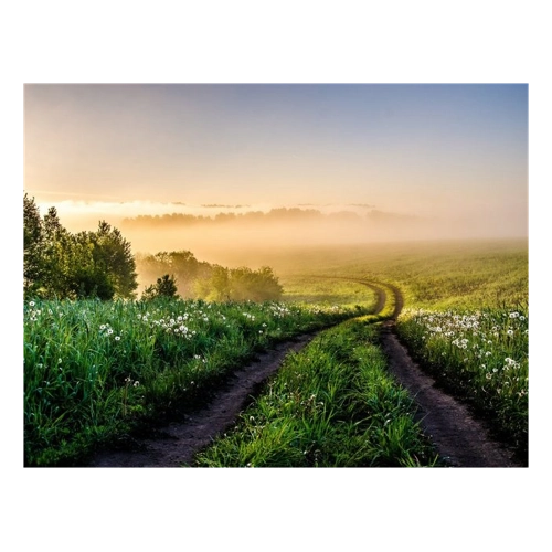 Bild von Papermoon Fototapete Foggy Forest Path, glatt