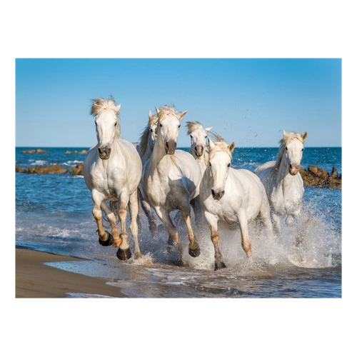 Bild von Papermoon Fototapete "Camargue Horses"