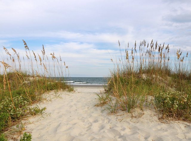 Bild von Papermoon Fototapete Dunes Huntington Beach, glatt