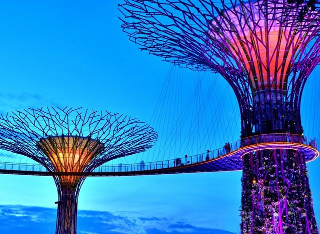 Bild von Papermoon Fototapete Singapore Bay Supertrees, glatt