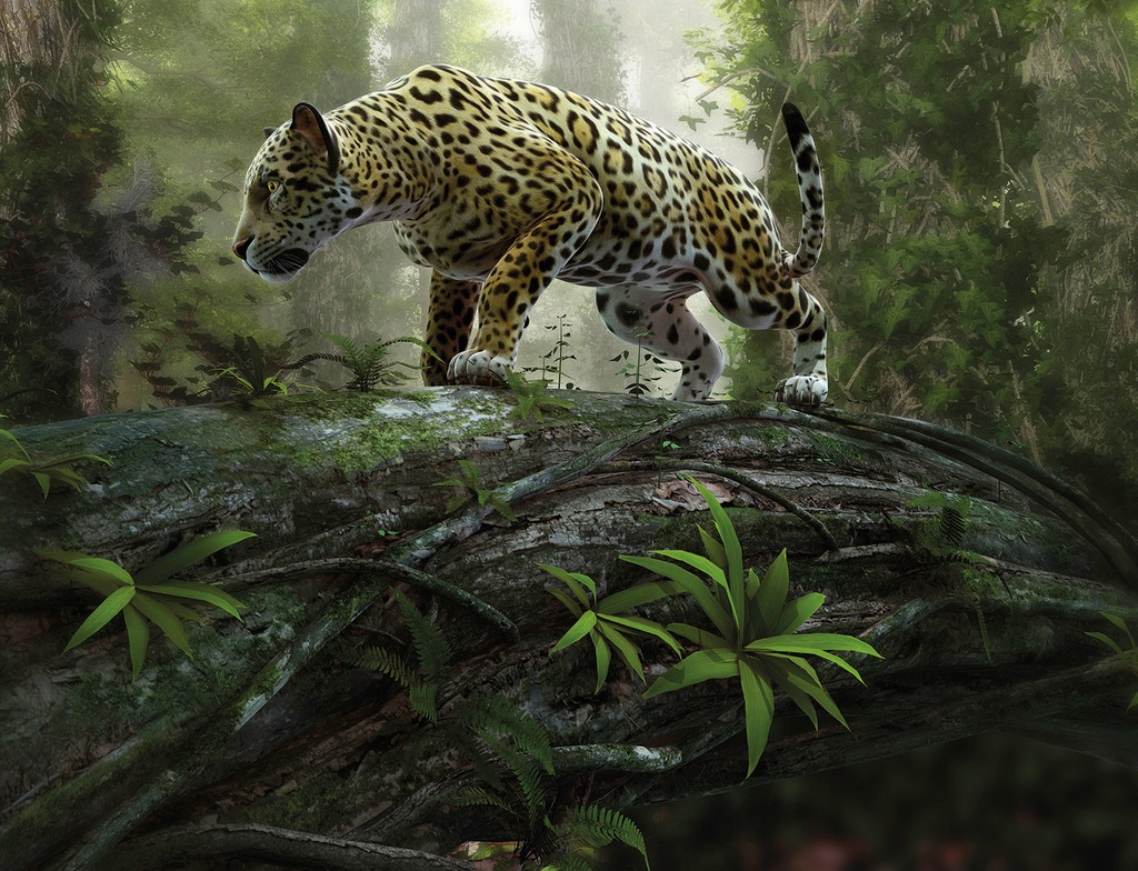 Bild von Papermoon Fototapete Jaguar on the Prowl, glatt