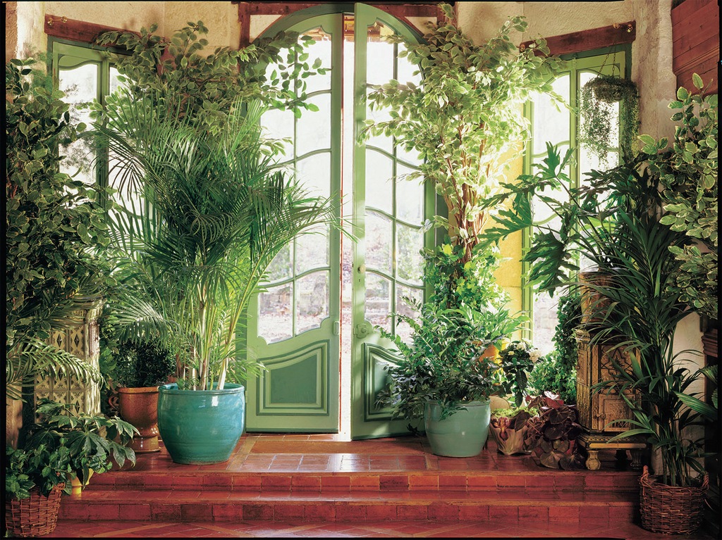 Bild von Papermoon Fototapete Larit Jardin, glatt