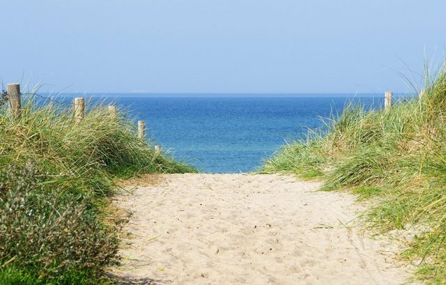 Bild von Papermoon Fototapete Dune at the Ocean, glatt