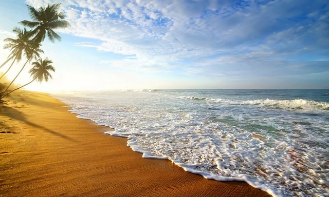 Bild von Papermoon Fototapete Palm Beach Sri Lanka, glatt