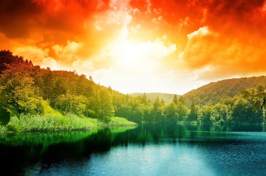 Bild von Papermoon Fototapete "Waldsee"
