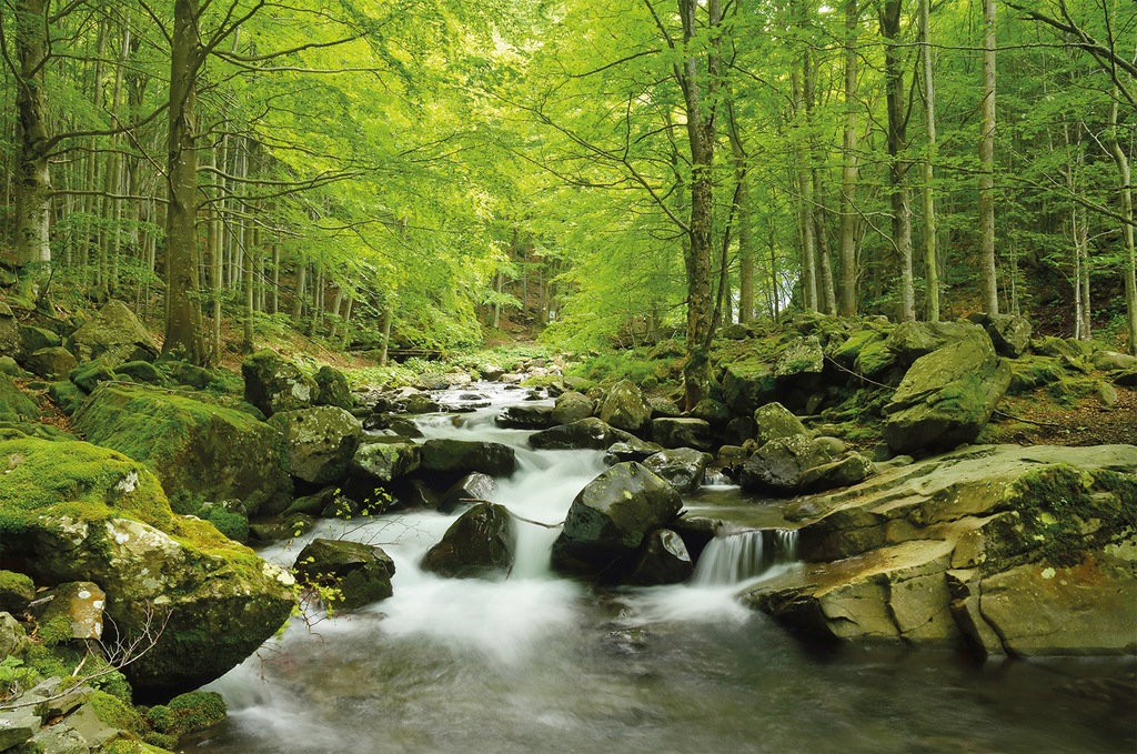 Bild von Papermoon Fototapete Soft Water Stream, glatt