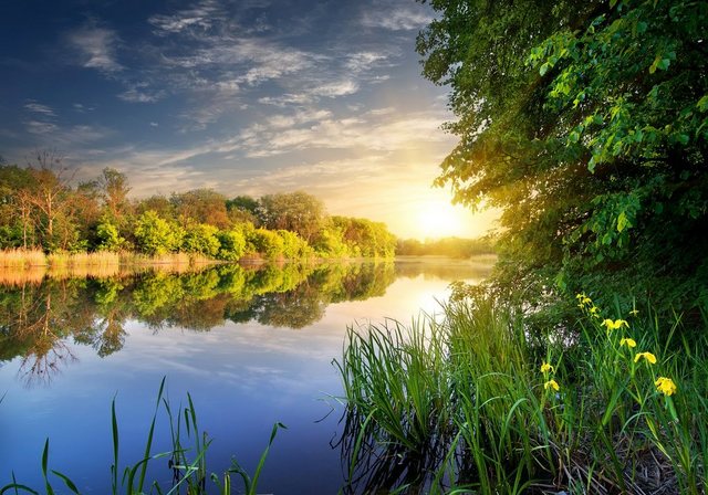 Bild von Papermoon Fototapete River at the Sunset, glatt