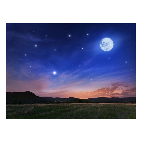 Bild von Papermoon Fototapete »Full Moon« – Ein Blickfang für jede Wand