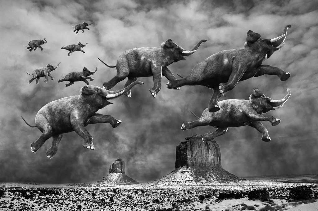 Bild von Papermoon Fototapete "Surreale fliegende Elefanten"