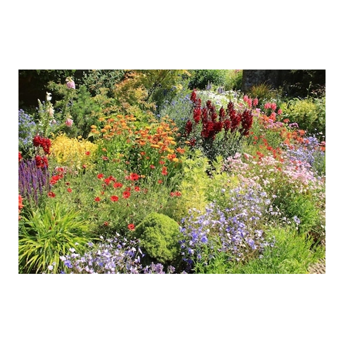 Bild von Papermoon Fototapete »Bauerngarten« im Test