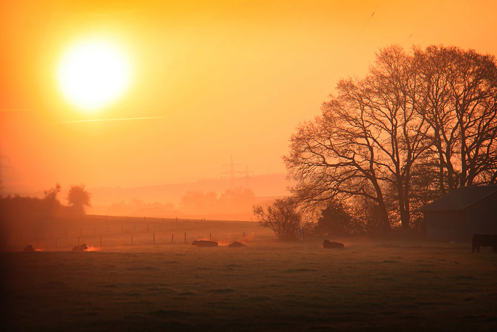Bild von Papermoon Fototapete "Sonniger nebliger Sonnenaufgang"